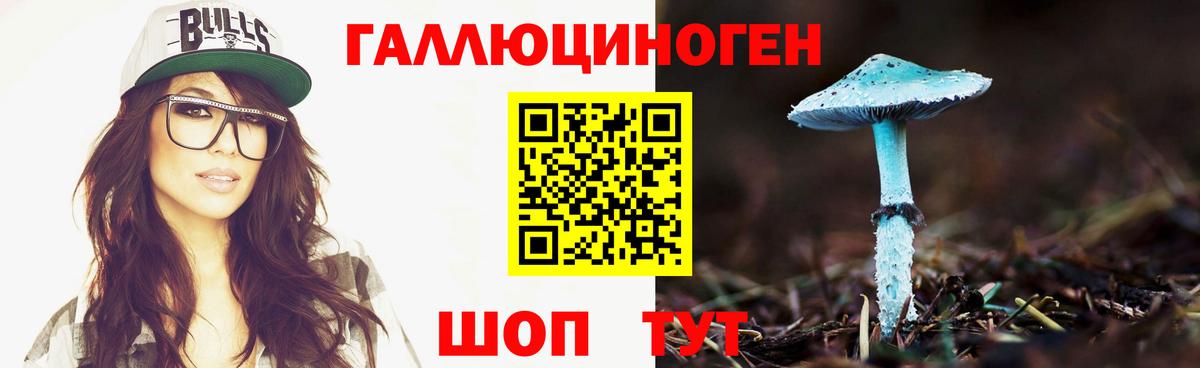 как найти закладки  Вход с VPN  Псилоцибиновые грибы Psilocybine cubensis  Обнинск  Псилоцибиновые грибы MAGIC MUSHROOMS 